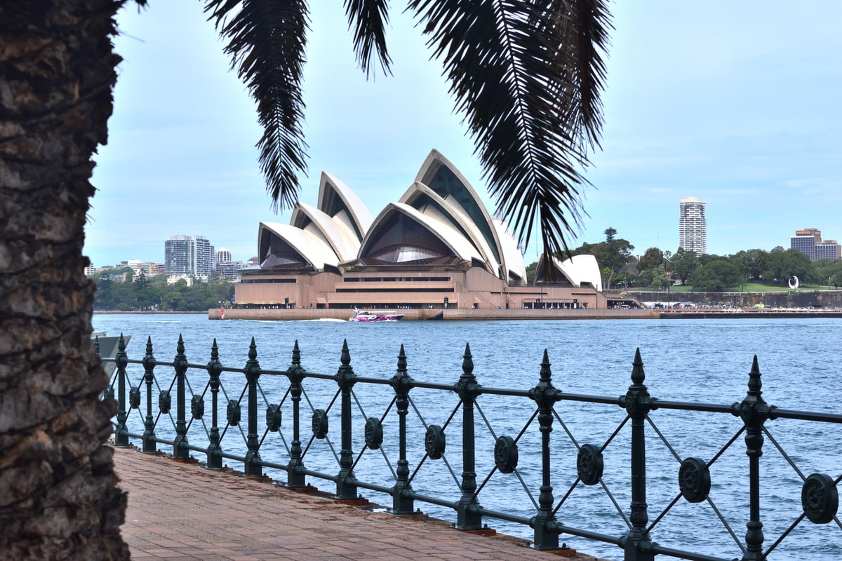 Edit sydney opera house and tree 2_017